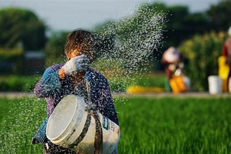 黑化肥绕口令完整版是怎么说的？