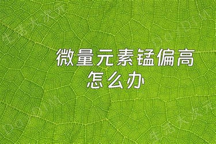 干枝梅怎么养 如何养干枝梅