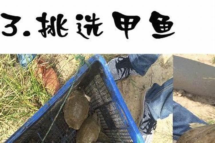 鱼冻时间长了发黄能吃吗