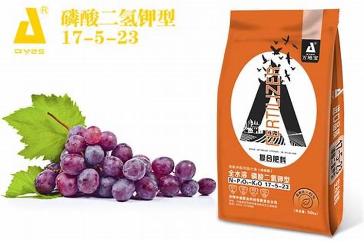 葡萄幼果期能打硫酸铜钙吗？