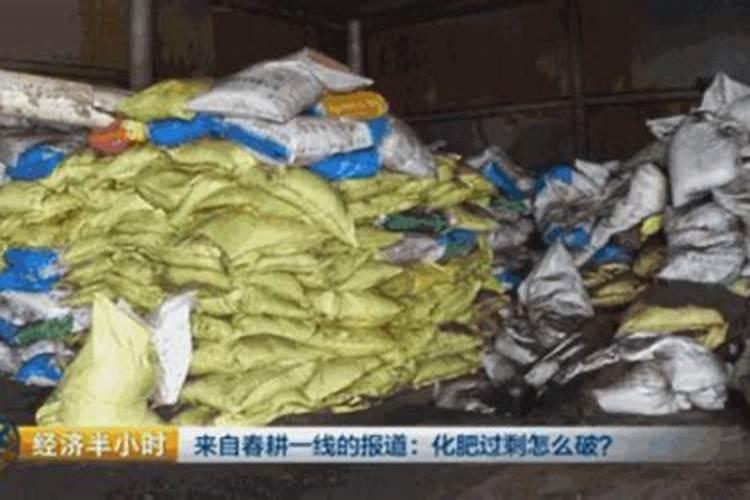 青蒿好吃,总有人错把艾草当青蒿采,青蒿和艾草到底有啥不同？