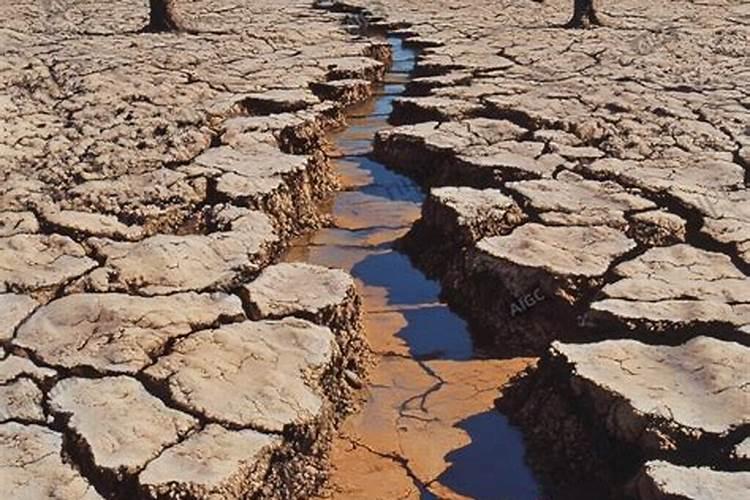 丙酰芸苔素内酯和芸苔素区别