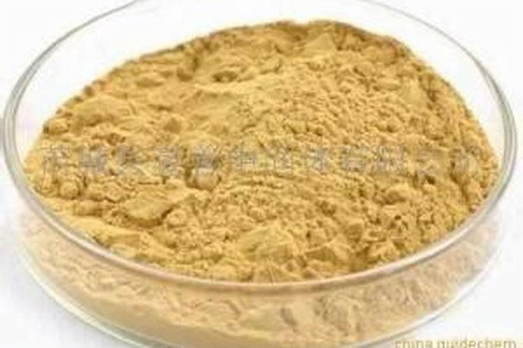 柴达木盆地的主要产物有哪些