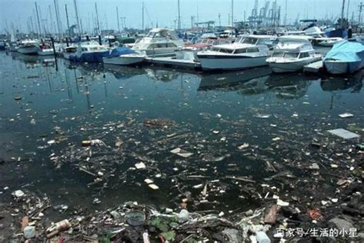 石斛兰开花的时候可以施肥吗？