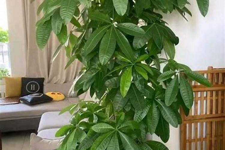 鉴别磷肥和钾肥的简易方法