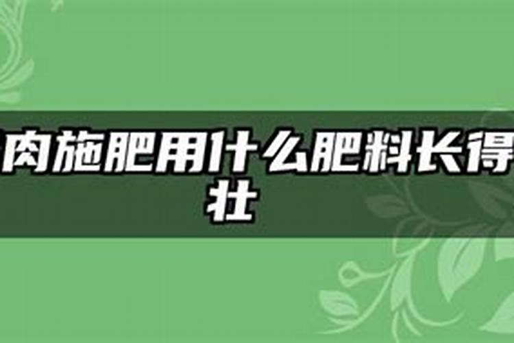 多肉最好的肥料是什么？