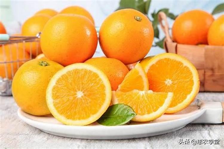 冰糖橙怎么种怎么管理才甜 冰糖橙怎么种如何管理才甜