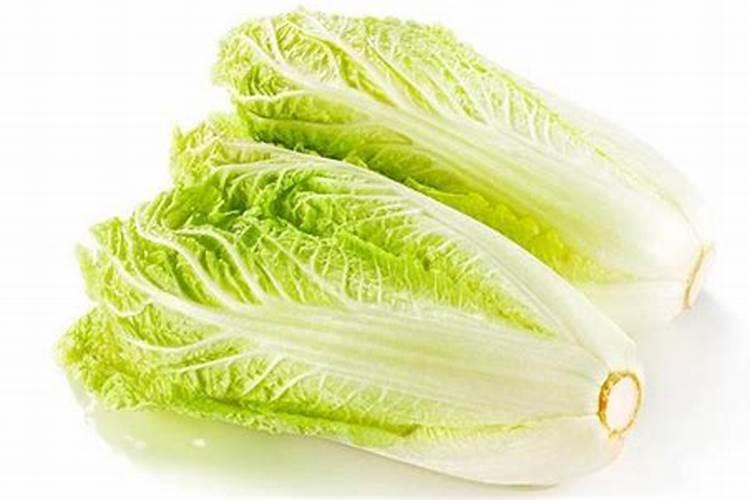 四川有哪些大型肥料公司