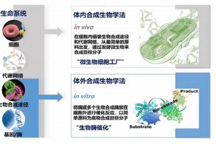 美国农民使用什么肥料