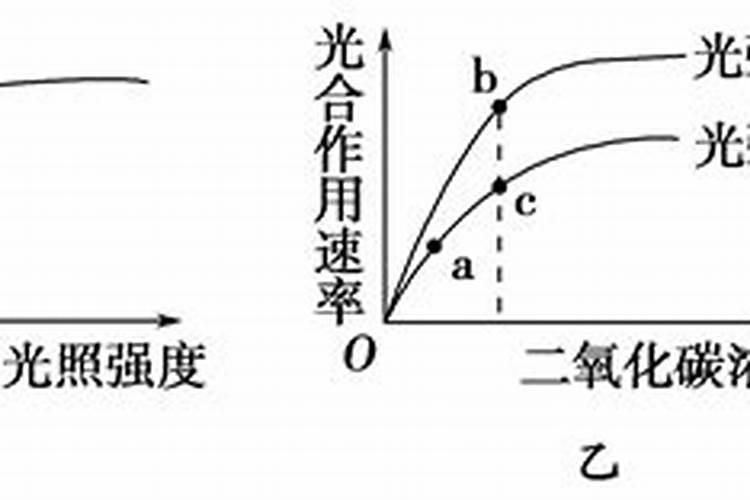 磷肥过多对植物的危害