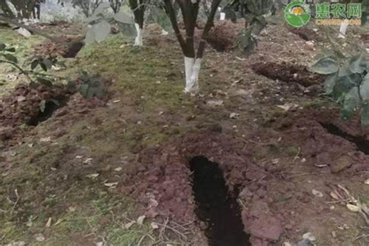 玉米除草剂可以和氟氯氰菊酯和甲维盐一块混用吗？