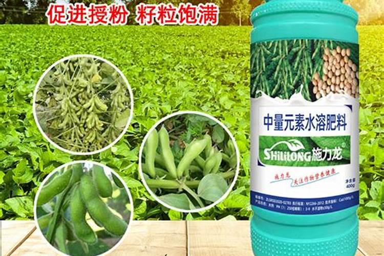 涵物兰花控释肥怎样