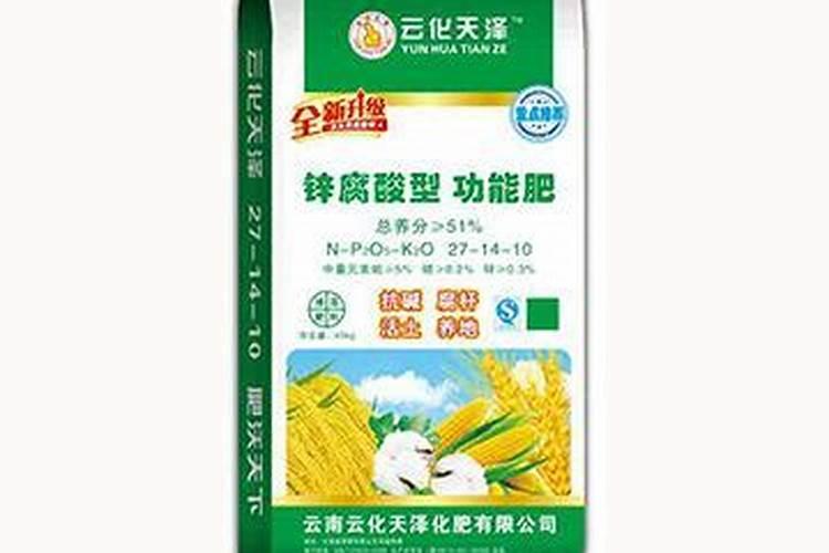 三伏天的兰花越长越瘦如何进行改善