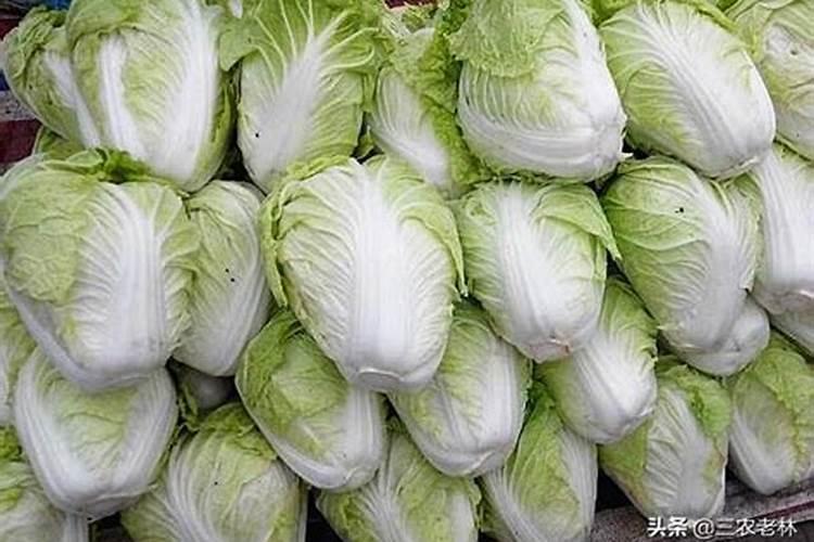 小白菜保产保质可以使用叶面肥吗？