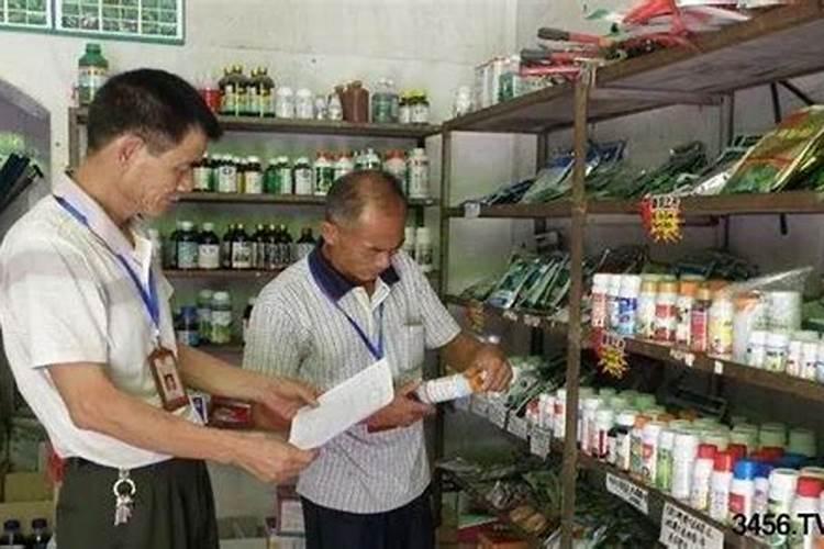 西红柿有太阳就蔫是怎么回事,蔫了如何补救