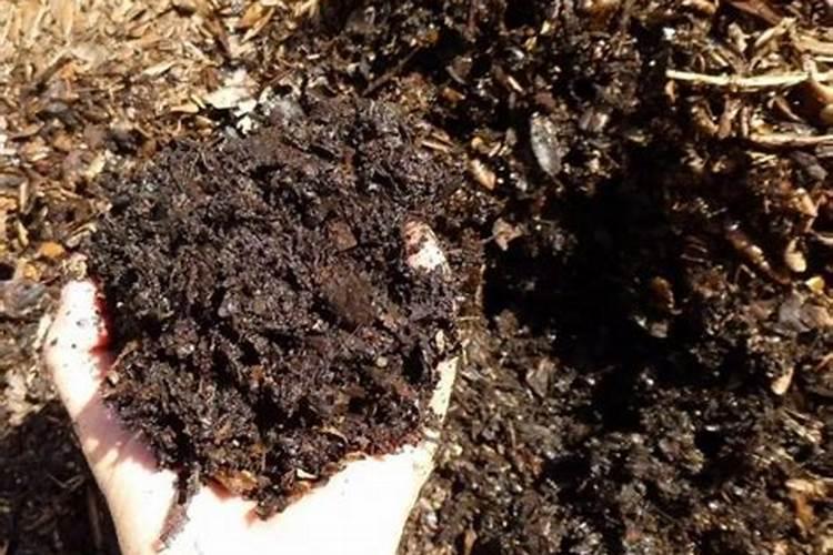 养花的有机肥怎么配制