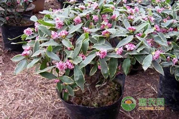 吴忠市江源建材批发部怎么样？