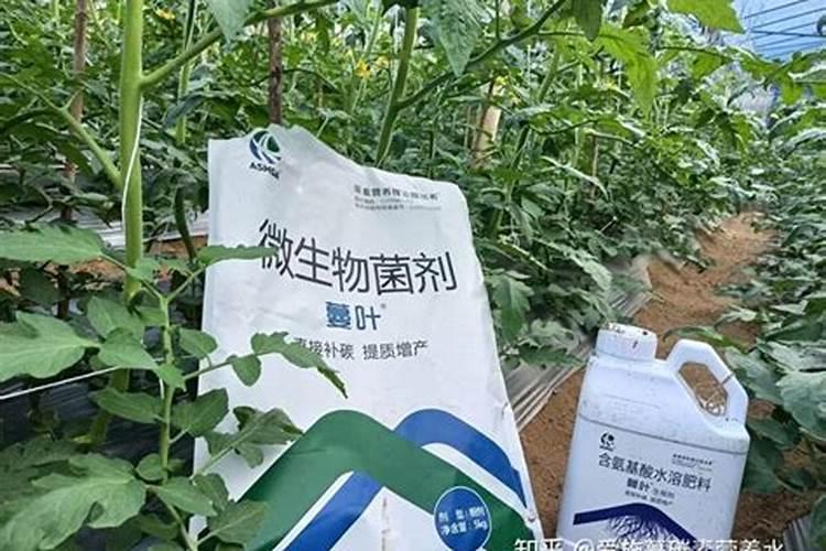 红薯用了氯化钾如何挽救