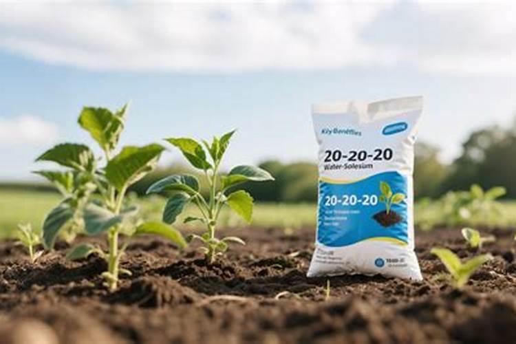 辣椒树上面径杆黄枯萎是什么病