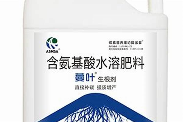 辣椒根部病害怎么防治