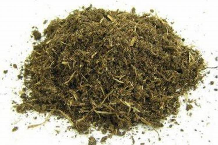 哪些盆栽花卉不易用草炭土栽培