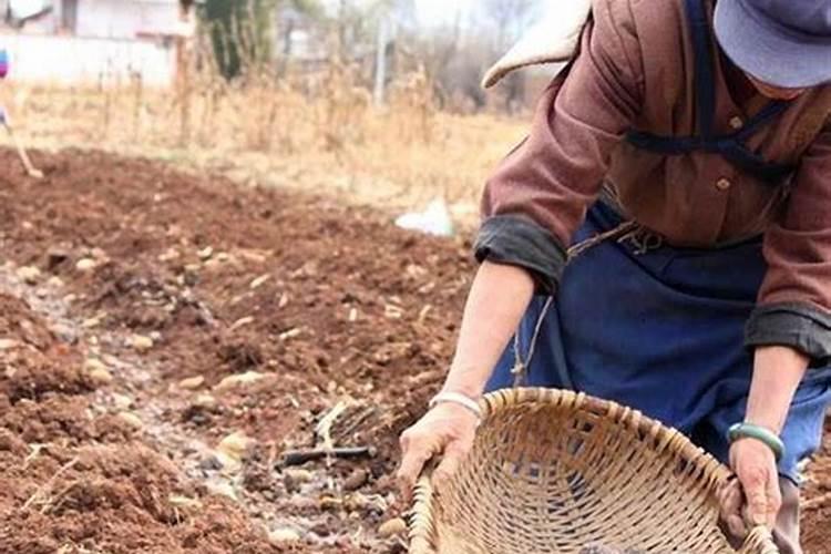 过量施肥的危害