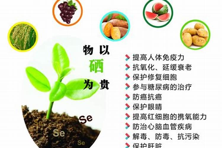 大白菜怎么追肥