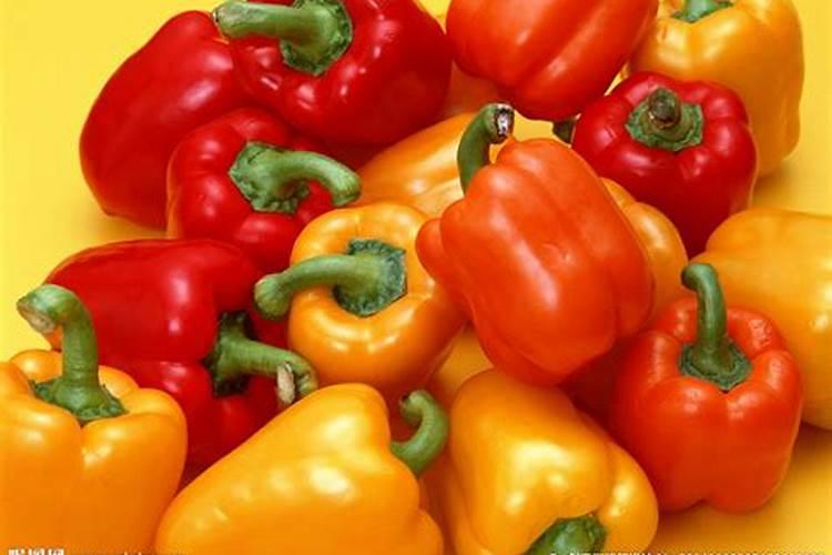 新乡哪里收购水稻