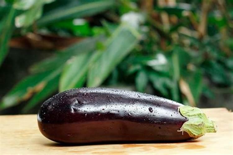 茄子如何巧施肥才能促高产