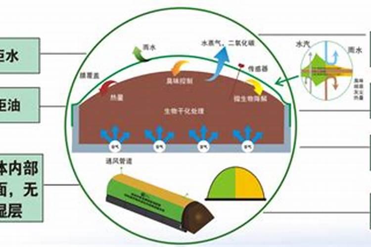 鱼粉和豆粕发酵的区别种植