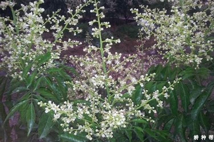 含磷低的食物一览表 含磷低的食物有什么