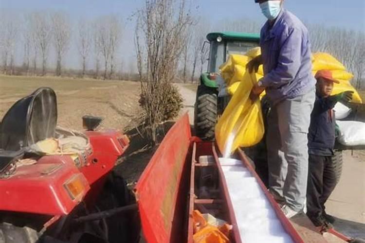 小麦追肥用尿素还是复合肥好