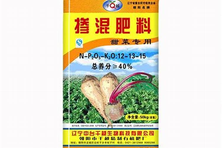 黑龙江讷河特产:讷河甜菜