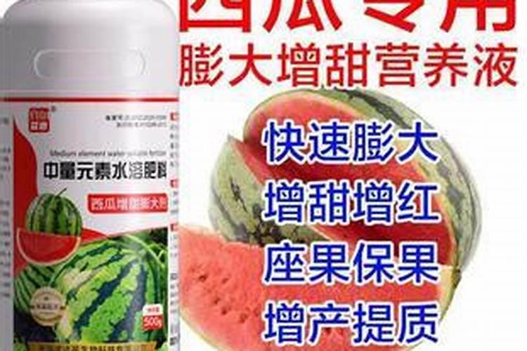 西瓜苗用什么肥料生根快,西瓜苗几月份开始育苗