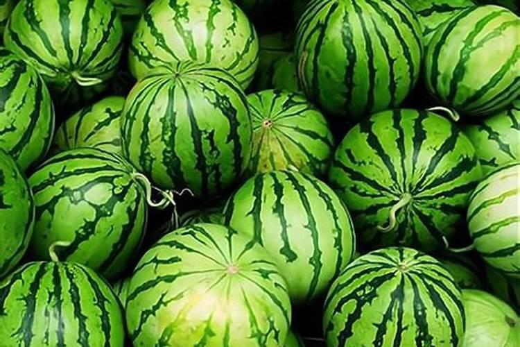 一亩地用多少硼肥 如何正确施硼肥