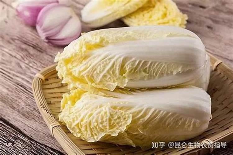 娃娃菜施肥用什么肥料