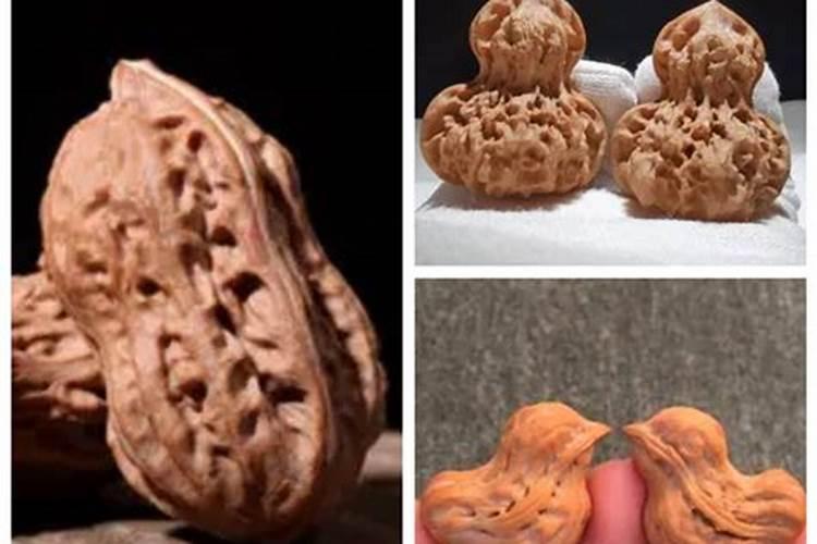 青储玉米如何施肥