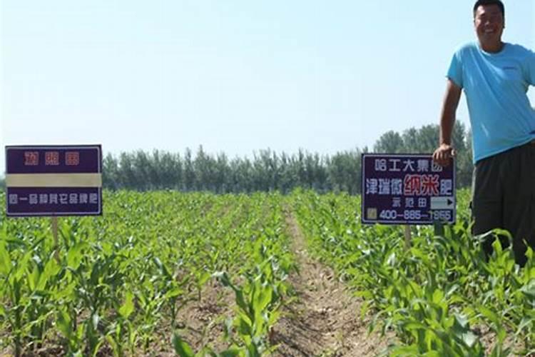 西瓜种植前需要什么底肥？