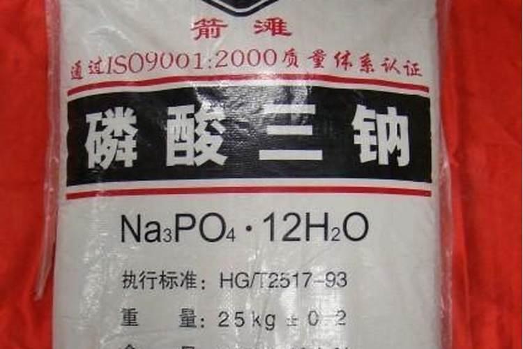 种植圣女果的过程(详细)