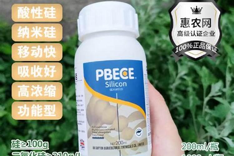 脐橙炭疽病,落叶过多怎么回复？