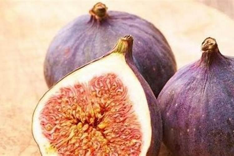 施肥过多会引起烧苗的原因是