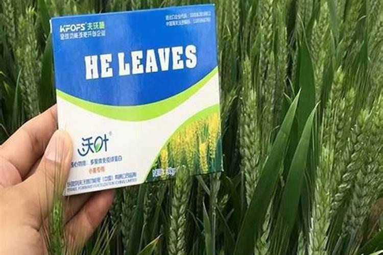 水溶肥做叶面肥用量多少