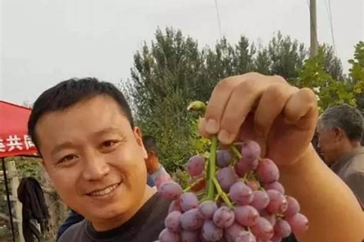 除虫菊酯类农药对人体有哪些危害