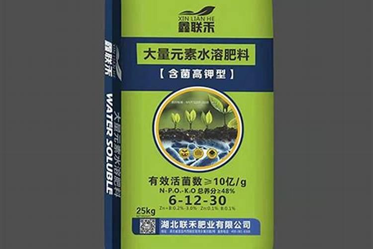 三角梅施肥方法和时间