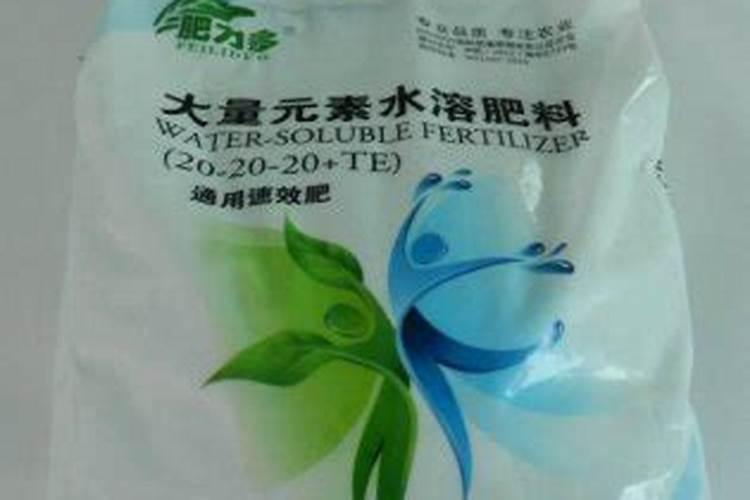 小球藻在家怎么培养