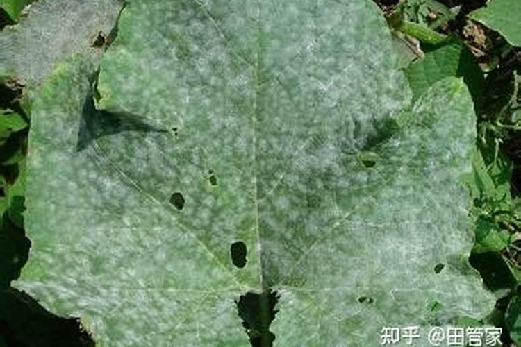 水溶肥检测仪的依据标准及技术参数