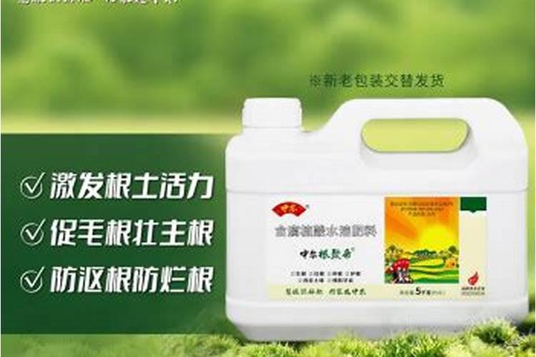 芸苔素和哪些肥料搭配使用,效果最佳呢？