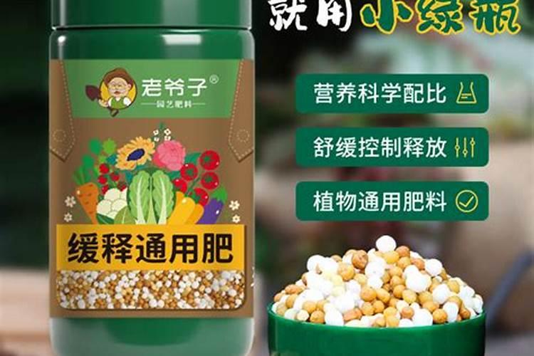 盆栽多肉植物施什么肥 该如何施肥