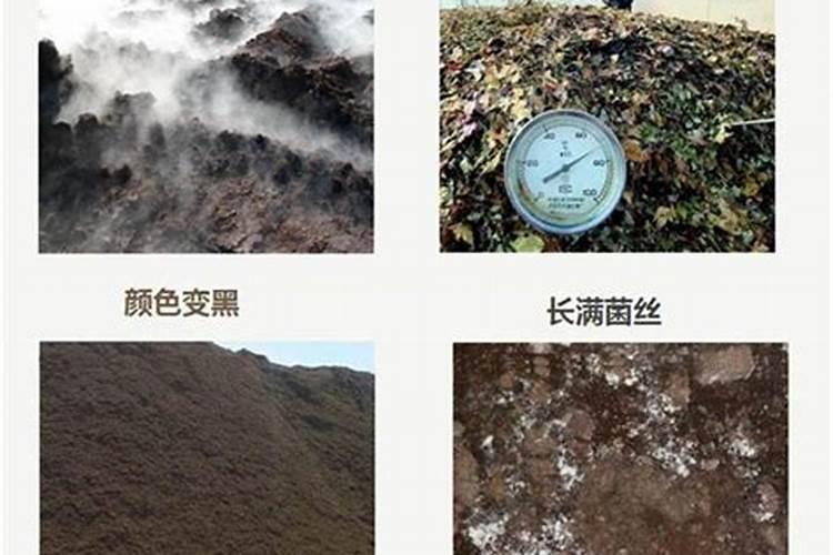 冫十大牌子保果叶面肥