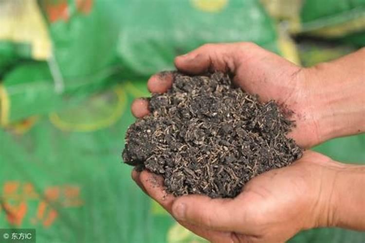 小麦长势不太好,用云大YD120芸苔素有效果吗？